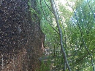 qua Rocca15-05-2022 09-22-10